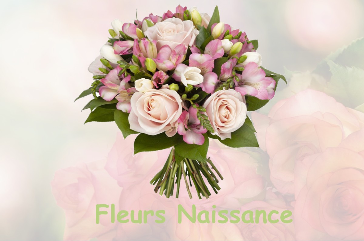 fleurs naissance AMBRUMESNIL