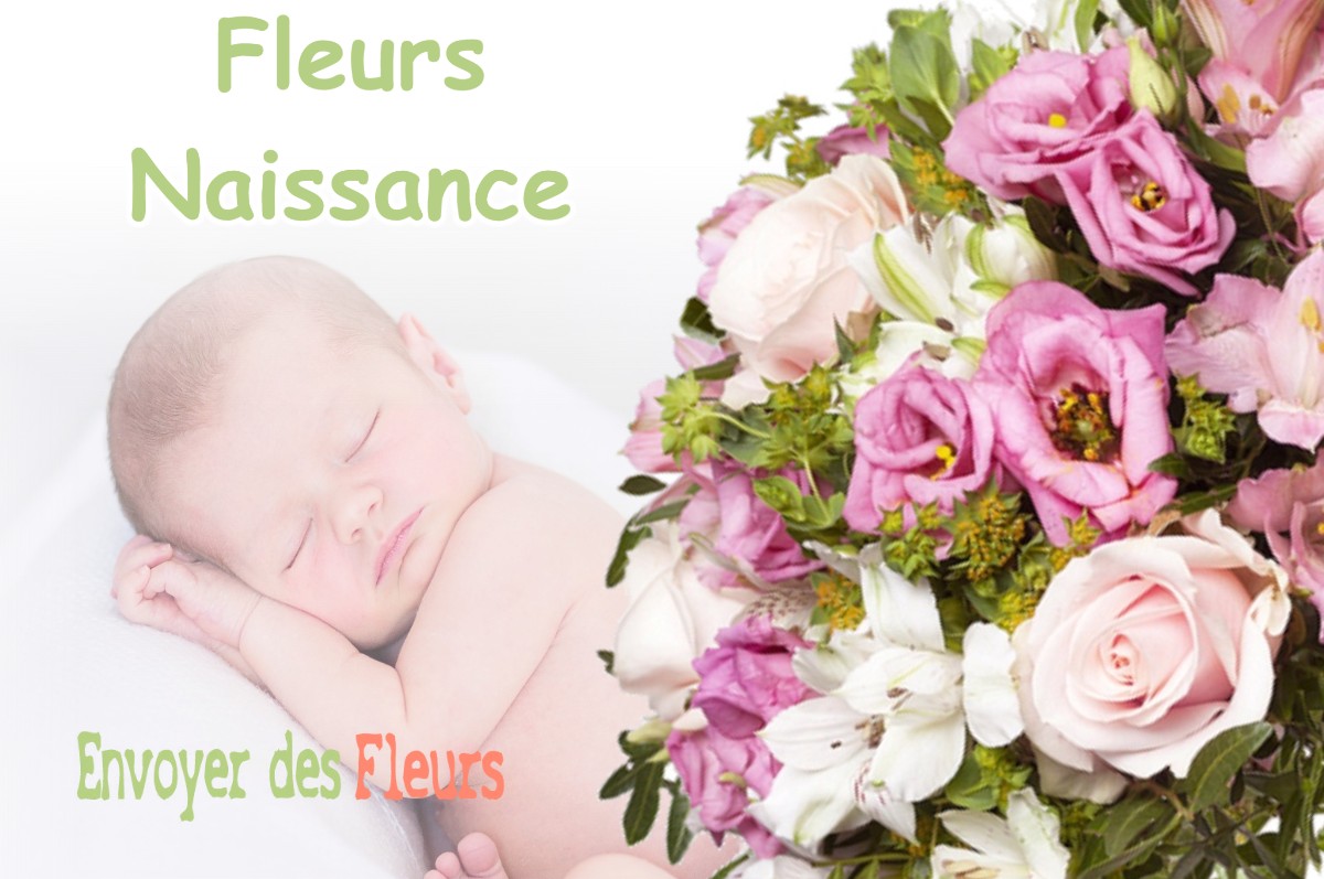 lIVRAISON FLEURS NAISSANCE à AMBRUMESNIL